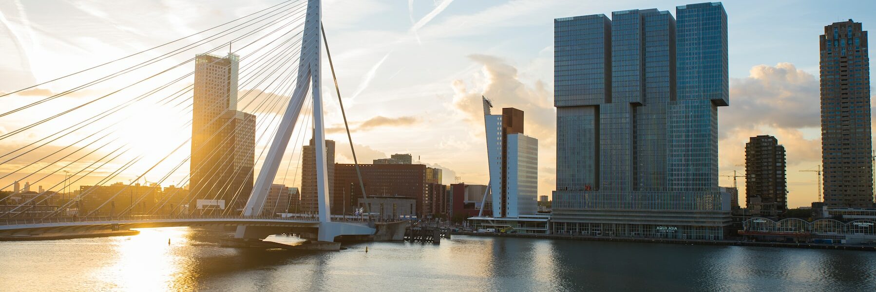 Living in Rotterdam