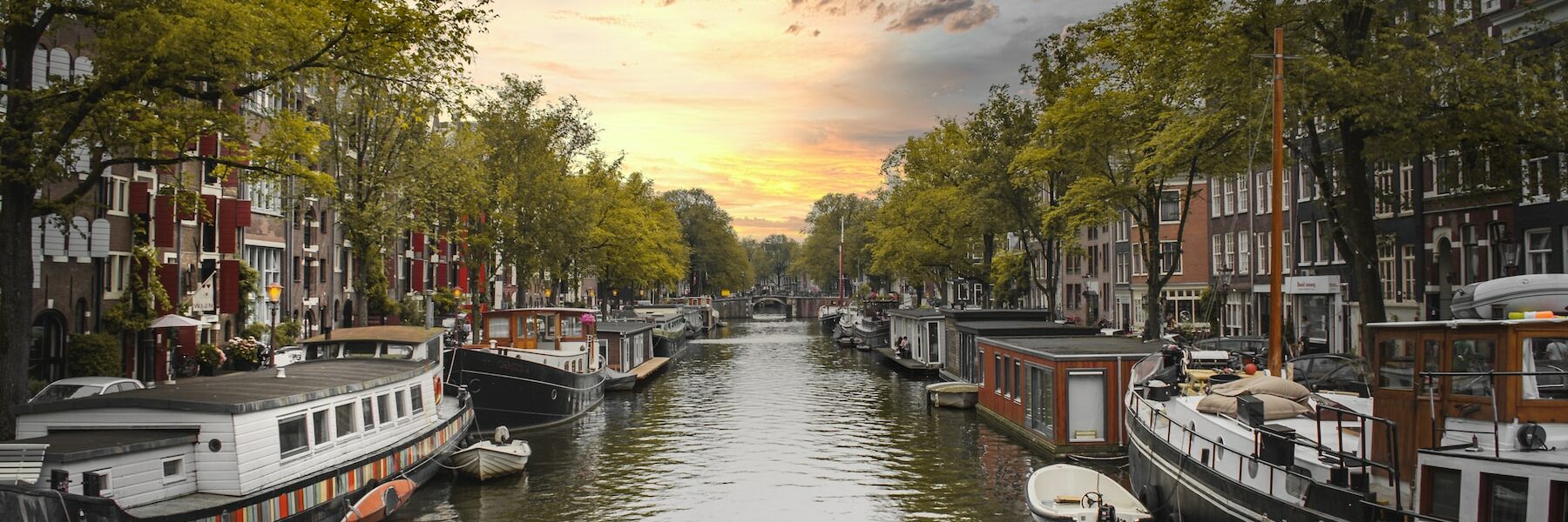 Living in Netherlands