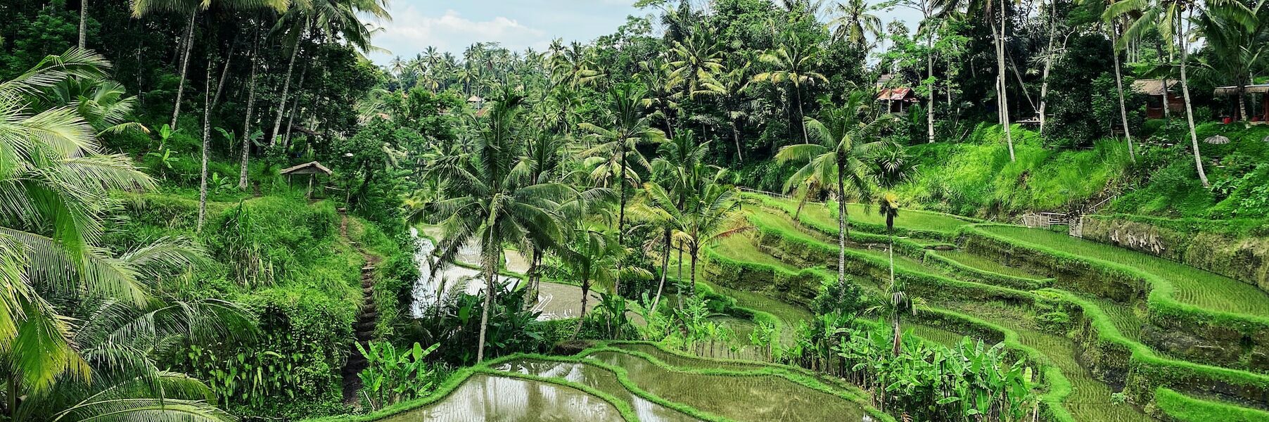 Living in Ubud, Bali