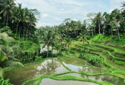 Ubud, Bali
