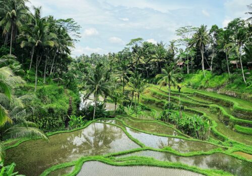 Ubud, Bali for Digital Nomads