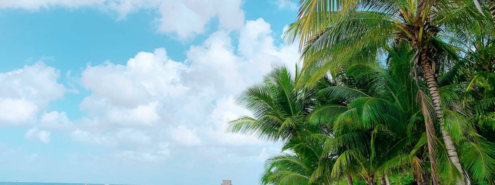 Living in Cozumel