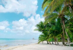 Cozumel