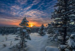 Fairbanks, AK