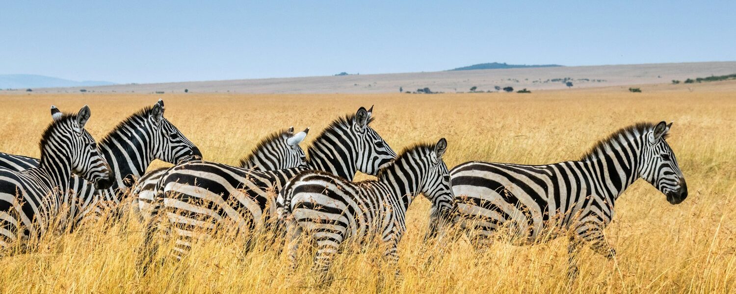 Living in Kenya