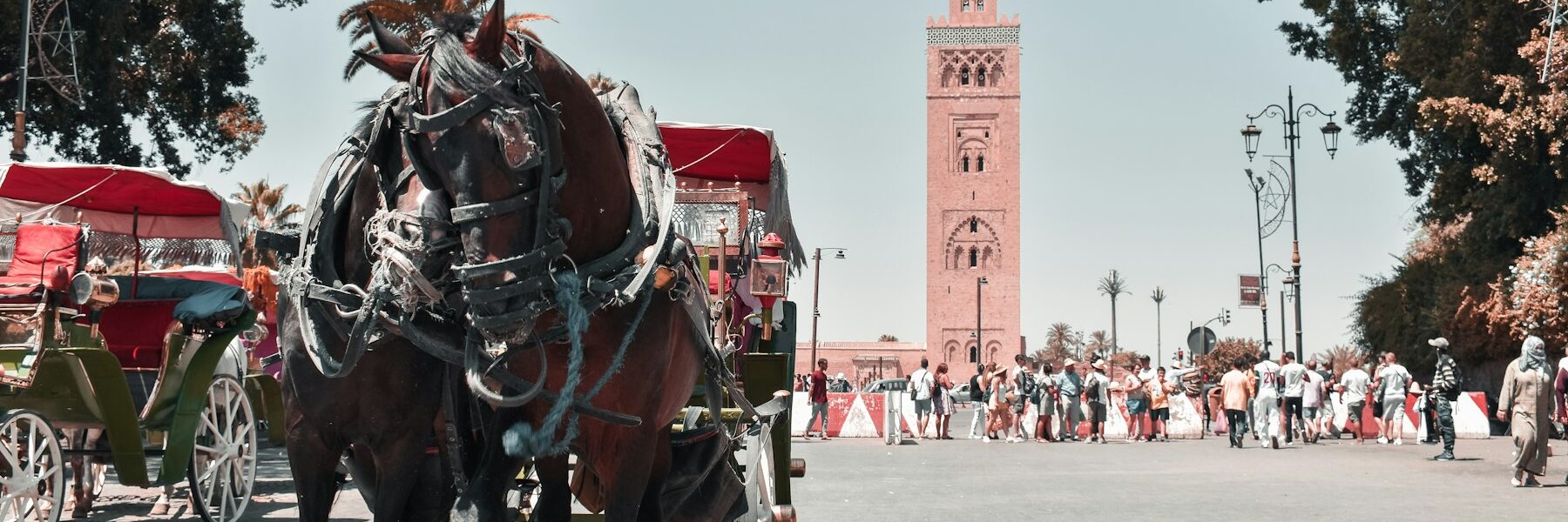Living in Marrakech